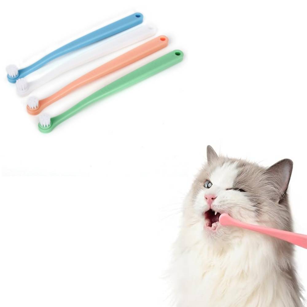 IntiMeg - Brosse à dents pour chien et chat IntiMeg - Image 1