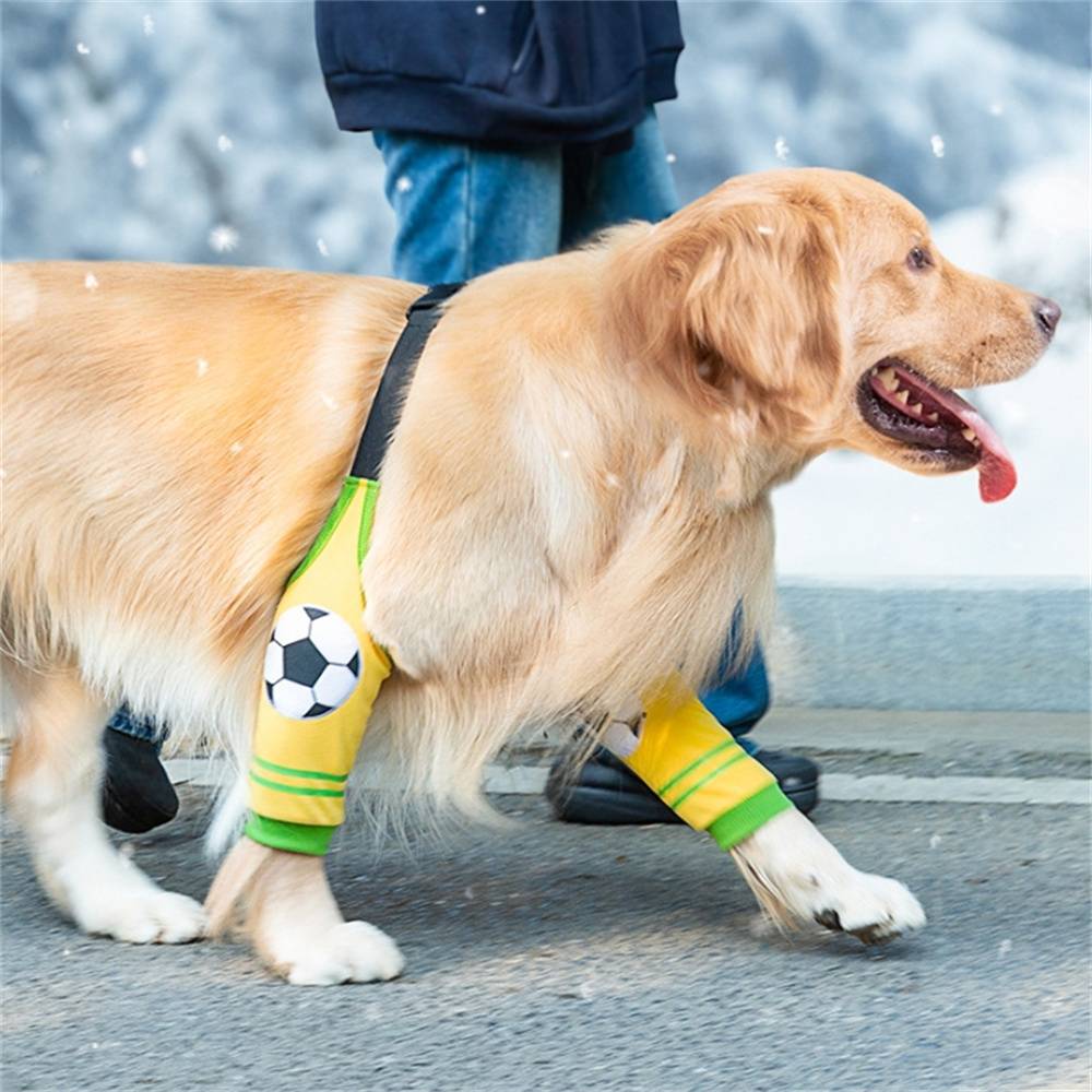 DtopbuyAge - Protections pour pattes de chien de moyenne et grande taille DtopbuyAge - Image 5