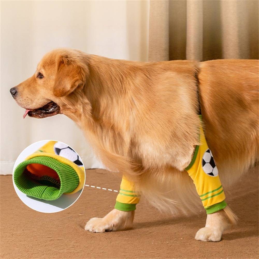 DtopbuyAge - Protections pour pattes de chien de moyenne et grande taille DtopbuyAge - Image 3