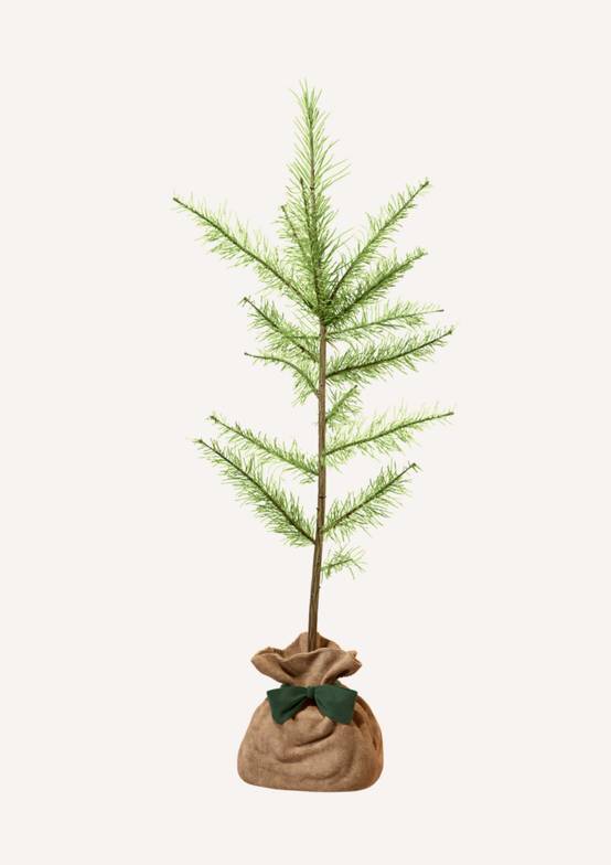 JUSTE UN ARBRE. – Mélèze d'Europe | Idée cadeau écologique pour naissance, mariage, anniversaire – Conifère résistant pour grands espaces. - Image 3