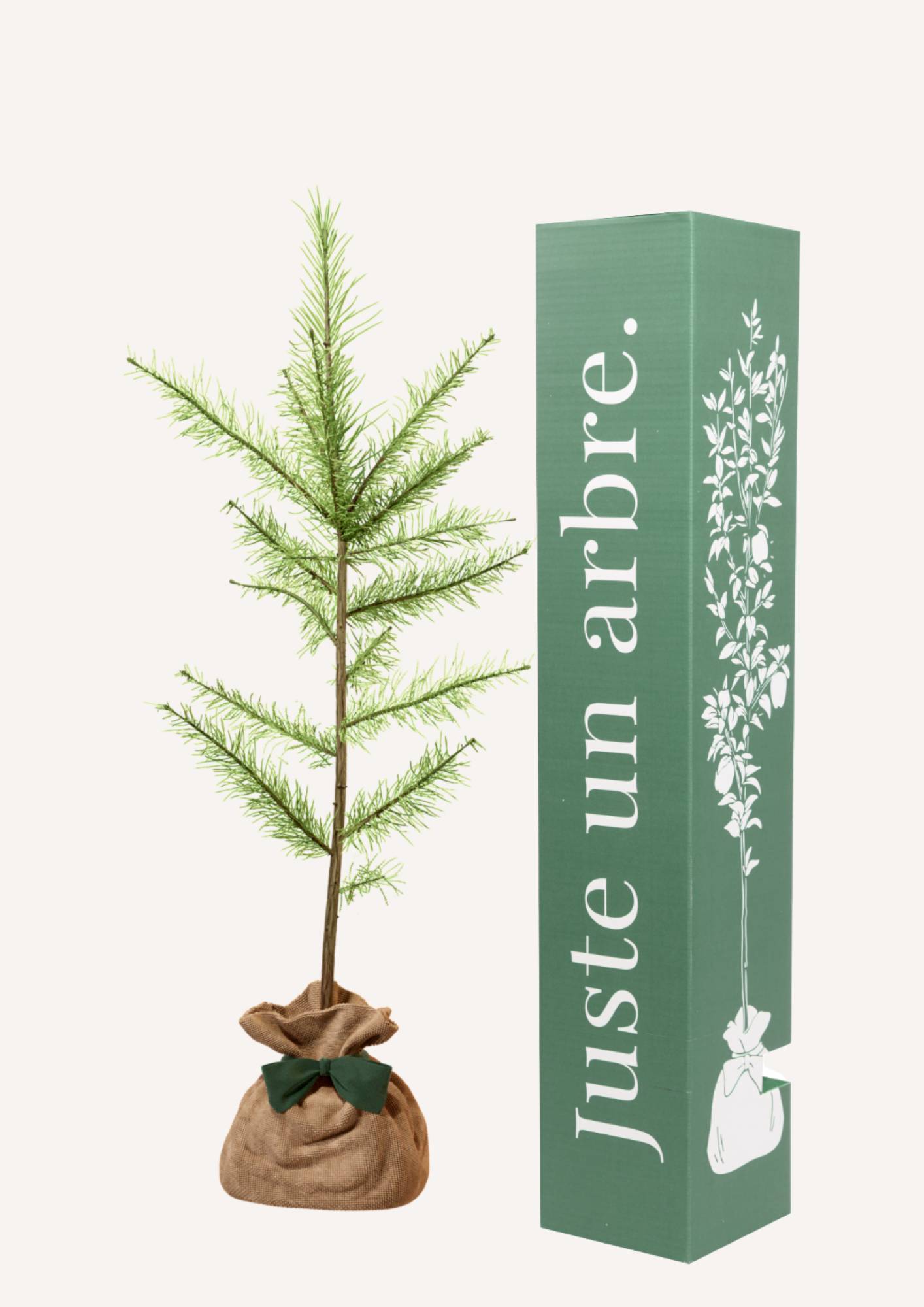 JUSTE UN ARBRE. – Mélèze d'Europe | Idée cadeau écologique pour naissance, mariage, anniversaire – Conifère résistant pour grands espaces. - Image 1