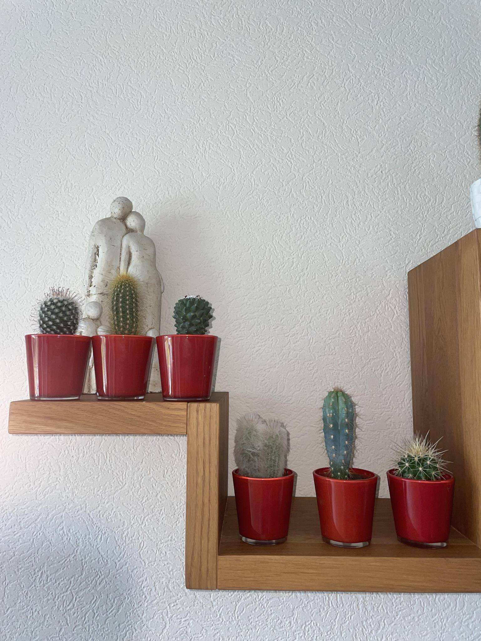 Ensemble de 6 Cactus avec Pots Rouges- La Green Touch - Image 3