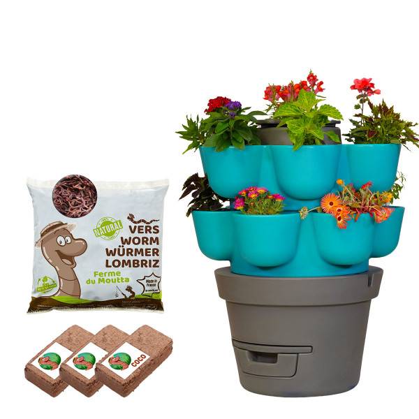 Ferme Du Moutta - WORMgarden Turquoise 2 jardinières + 250gr de Vers - Image 1