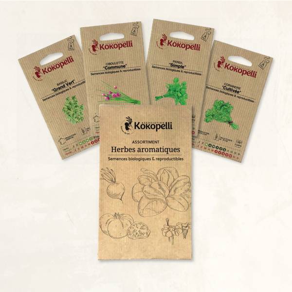Herbes aromatiques - 4 sachets de graines bio à semer - Image 2