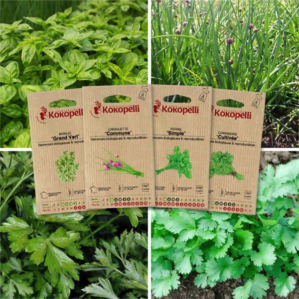 Herbes aromatiques - 4 sachets de graines bio à semer - Image 1