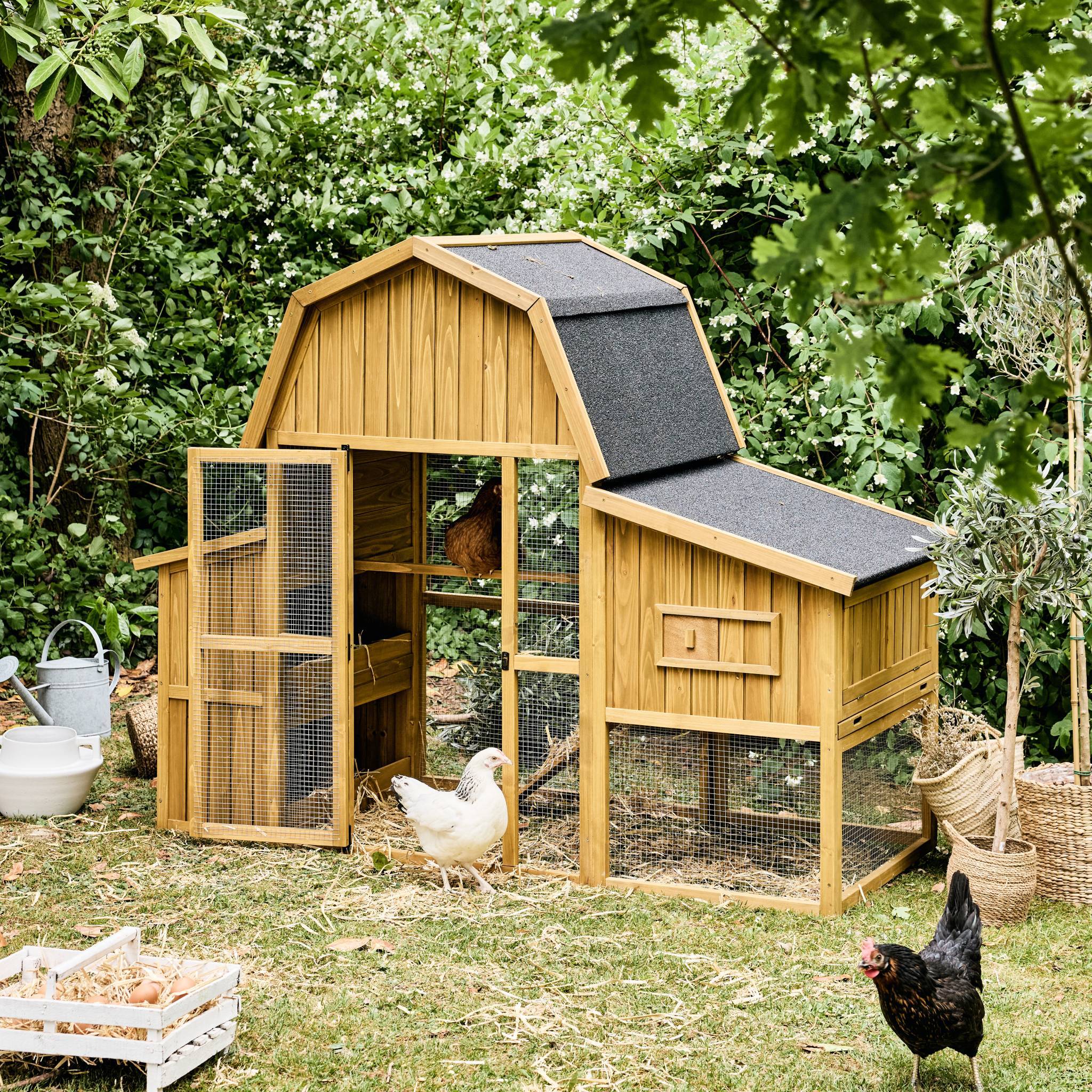 Poulailler 6 poules bois de sapin - 195.5 x 90 x 152.5 cm - Gasconne | sweeek - Image 5