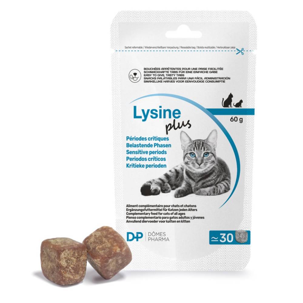 Lysine Plus Chat - TVM 30*2 g