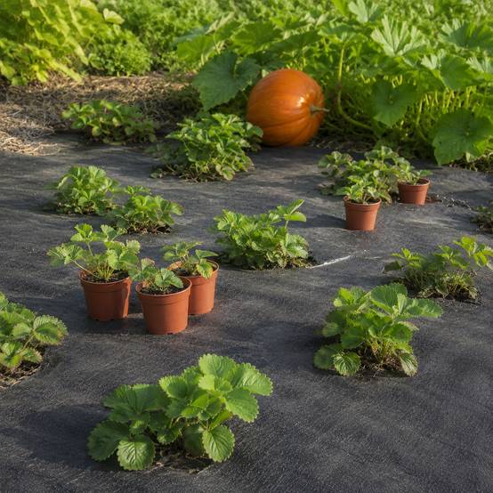 80 m² tissu de sol, bâche anti-mauvaises herbes, bâche de paillage 100 g, 2 m de large, noir - Image 7
