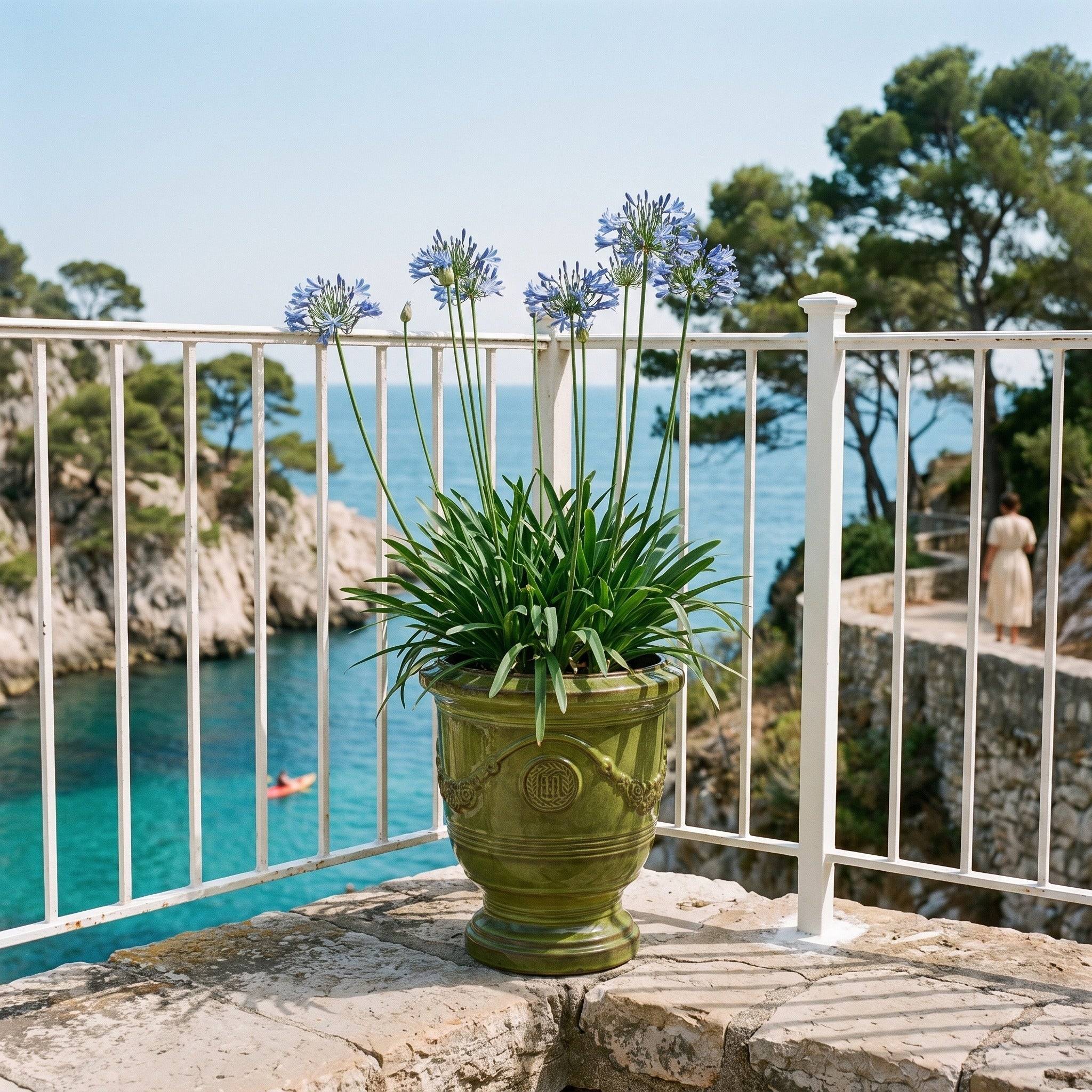 Provencelia - Pot RICHELIEU 46x56cm vert tropical - Image 3