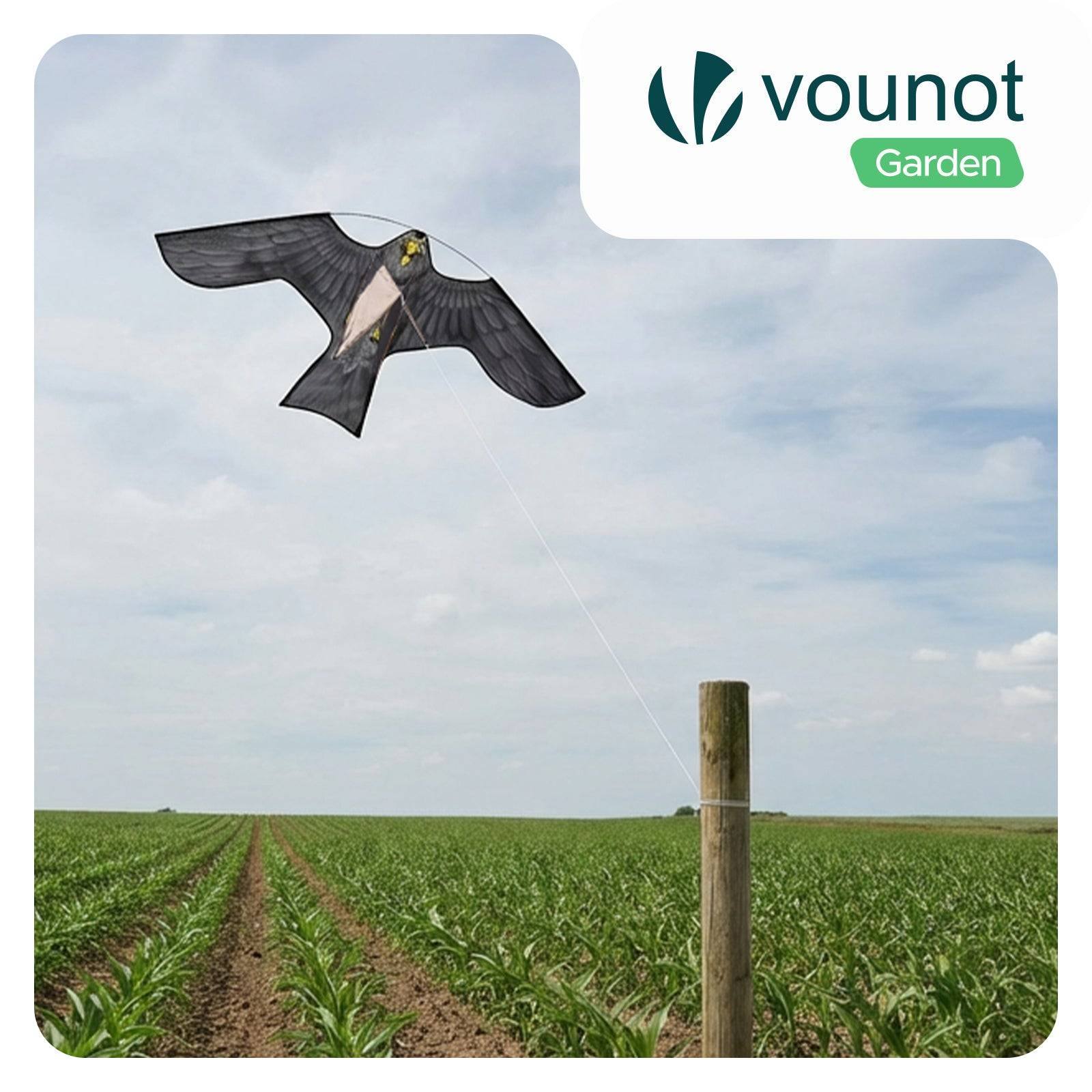 Cerf volant anti oiseaux effaroucheur sans mat Faucon modele D - Image 2