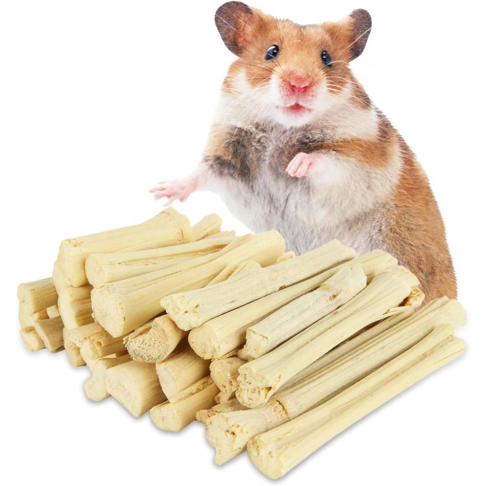 DtopbuyAge - Bâtonnets à mâcher friandises dentaires pour chinchilla, cochon dinde et hamster DtopbuyAge