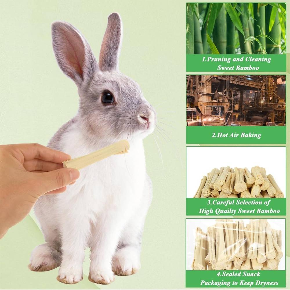 DtopbuyAge - Bâtonnets à mâcher friandises dentaires pour chinchilla, cochon dinde et hamster DtopbuyAge - Image 4