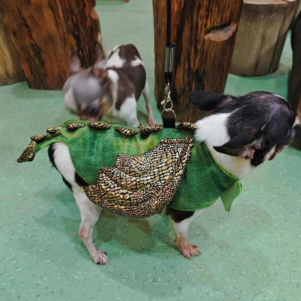 DtopbuyAge - Harnais et laisse pour reptiles et petits animaux DtopbuyAge - Image 3