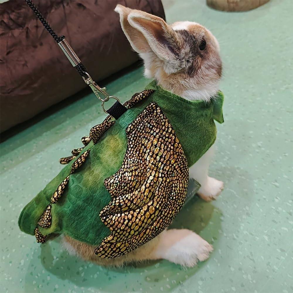 DtopbuyAge - Harnais et laisse pour reptiles et petits animaux DtopbuyAge - Image 4
