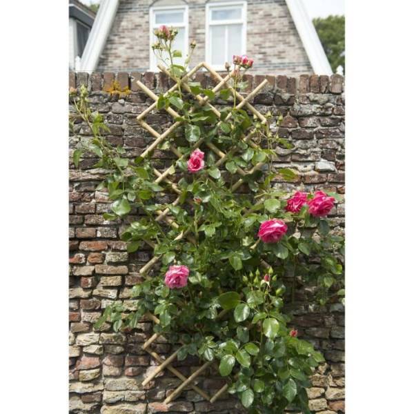 Treillis extensible - NATURE - En bambou - 45 x 180 cm - Image 3