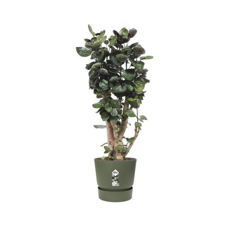 Elho - Elho Pot De Fleurs Rond Greenville 47 - Exterieur - O 47 X H 44,1 Cm - Vert Feuille - Image 5
