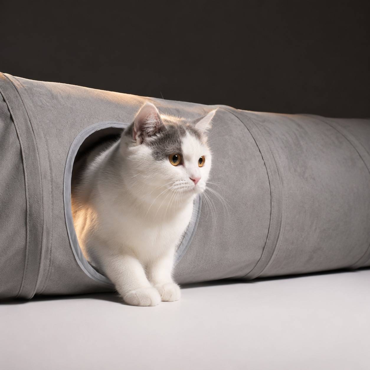 Tunnel à Chat en Daim Pliable avec 2 Trous et Jouet Suspendu Durable - Image 5