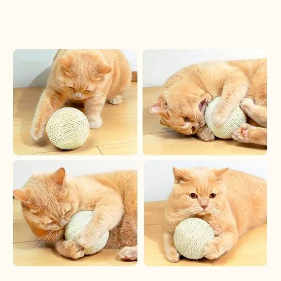 IntiMeg - Jouet pour chat boule de sisal de 10 cm IntiMe - Image 5