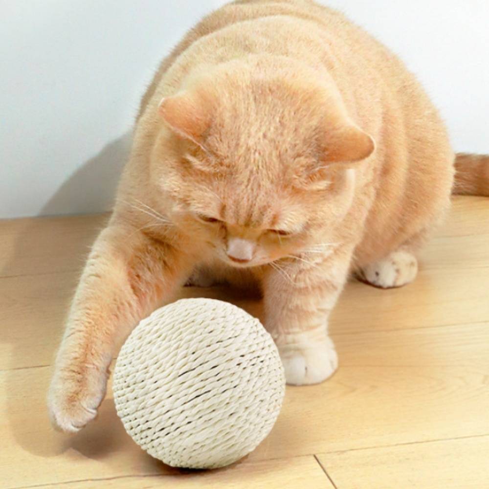 IntiMeg - Jouet pour chat boule de sisal de 10 cm IntiMe - Image 4
