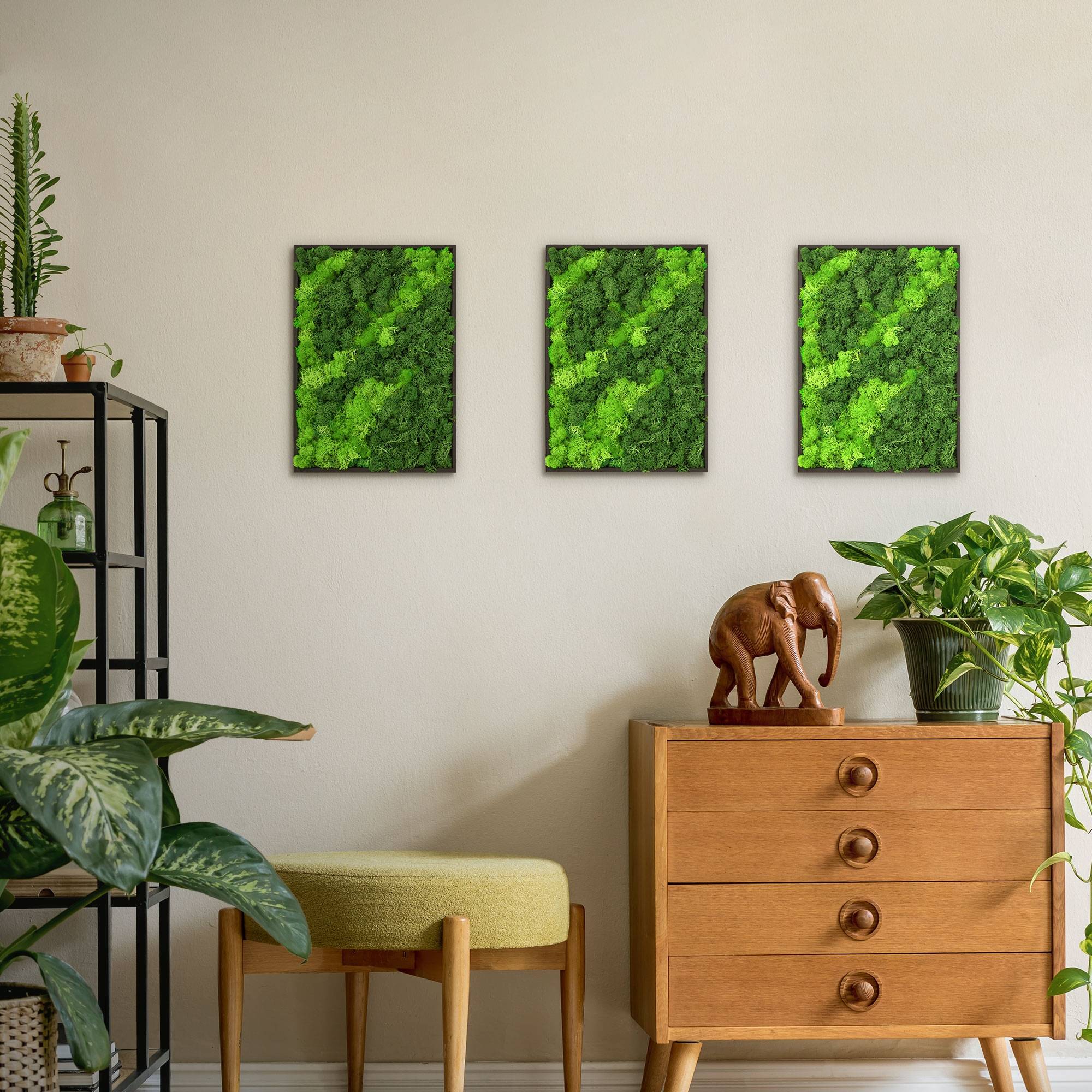 Ecd-Germany - Tableau en mousse de renne stabilisée, rectangulaire 38x27 cm, vert, décoration murale végétale d'intérieur, cadre en bois, sans arrosage ni entretien - Image 9