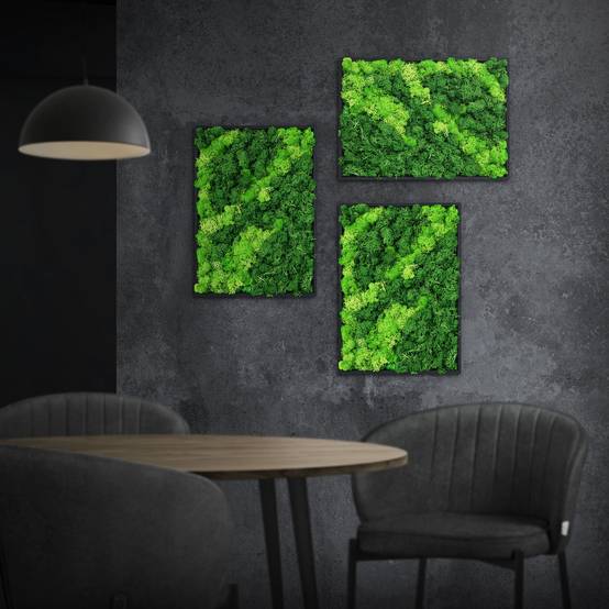Ecd-Germany - Tableau en mousse de renne stabilisée, rectangulaire 38x27 cm, vert, décoration murale végétale d'intérieur, cadre en bois, sans arrosage ni entretien - Image 1