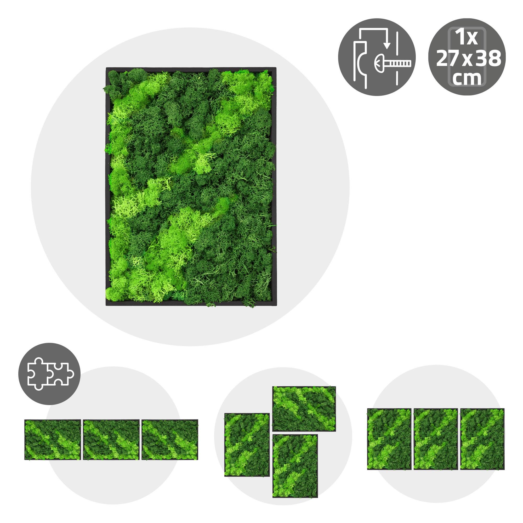 Ecd-Germany - Tableau en mousse de renne stabilisée, rectangulaire 38x27 cm, vert, décoration murale végétale d'intérieur, cadre en bois, sans arrosage ni entretien - Image 10