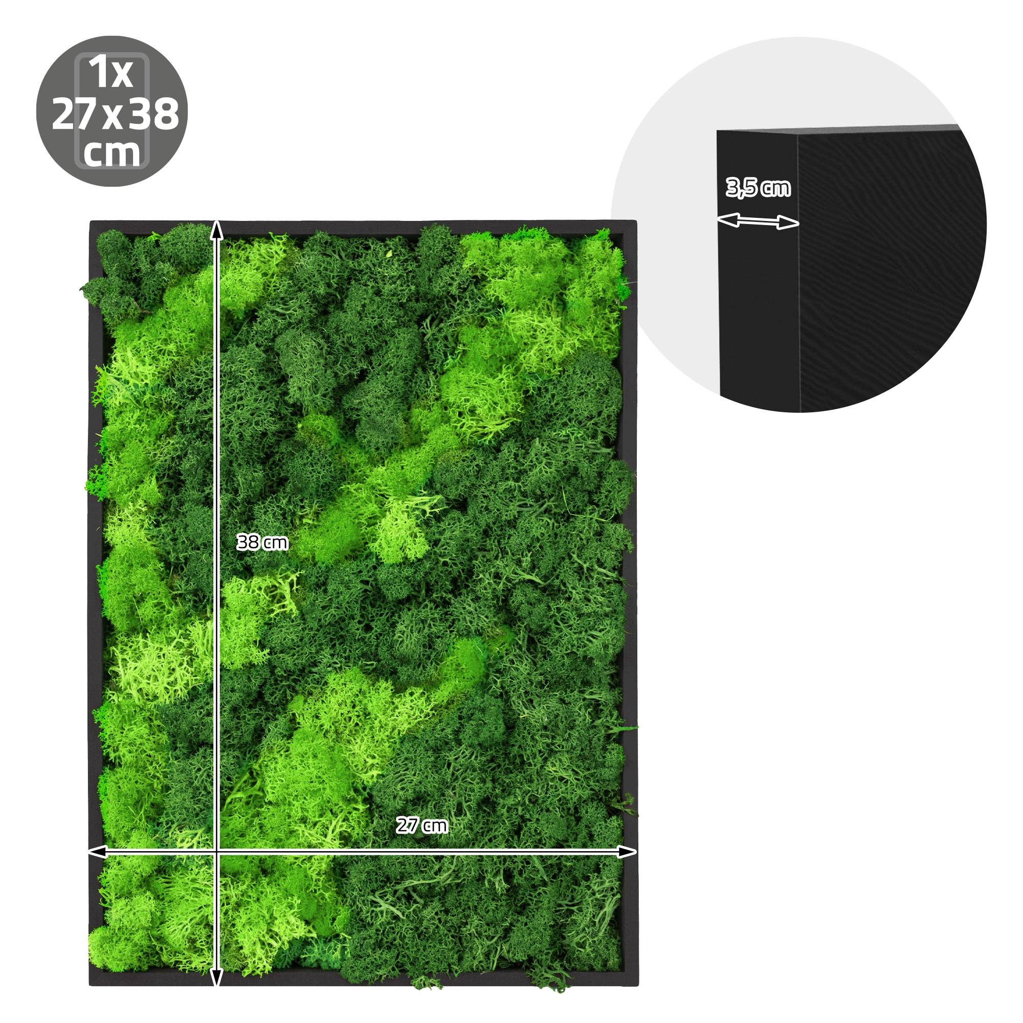 Ecd-Germany - Tableau en mousse de renne stabilisée, rectangulaire 38x27 cm, vert, décoration murale végétale d'intérieur, cadre en bois, sans arrosage ni entretien - Image 8