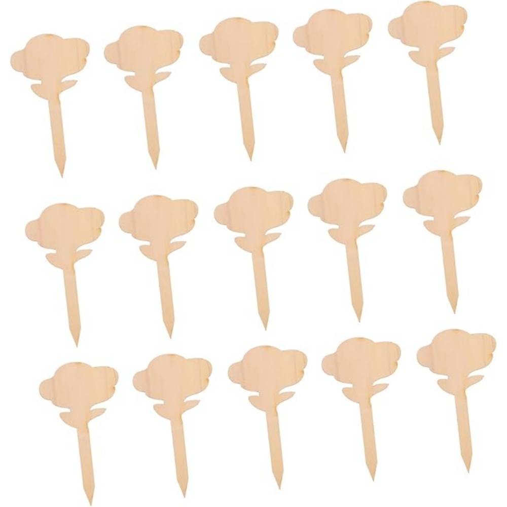 DtopbuyAge - 1 Jeu 50 Pièces Étiquettes Jardin En Bois Pour Plantes DtopbuyAge - Image 1