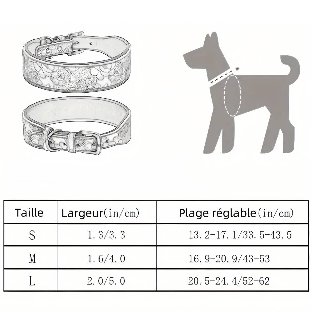 Collier pour chien ajustable m - IntiMeg - Image 3