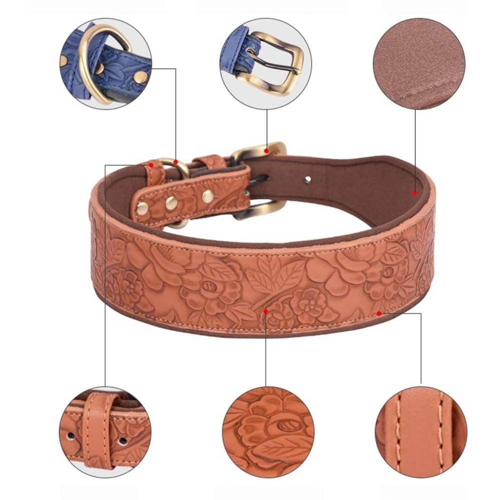 Collier pour chien ajustable m - IntiMeg - Image 2