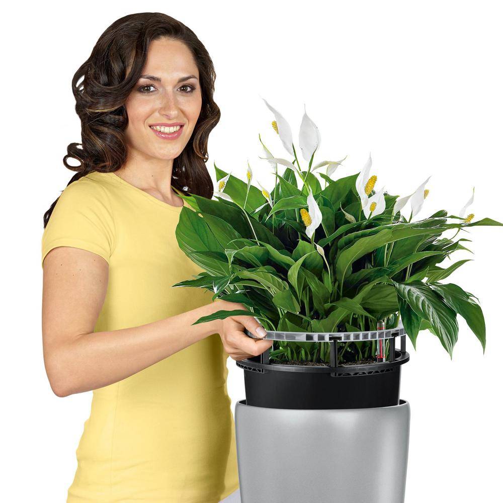 Lechuza - Pot Rondo Premium 32 - kit complet, argent métallisé Ø 32 cm Lechuza - Image 2
