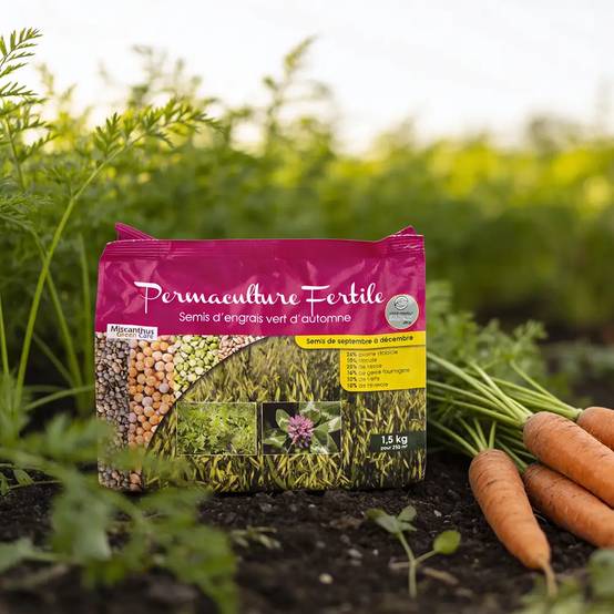 Autre - Semis d'Engrais Vert d'Automne - Permaculture Fertile® (Sac de 1,5kg) - Image 2