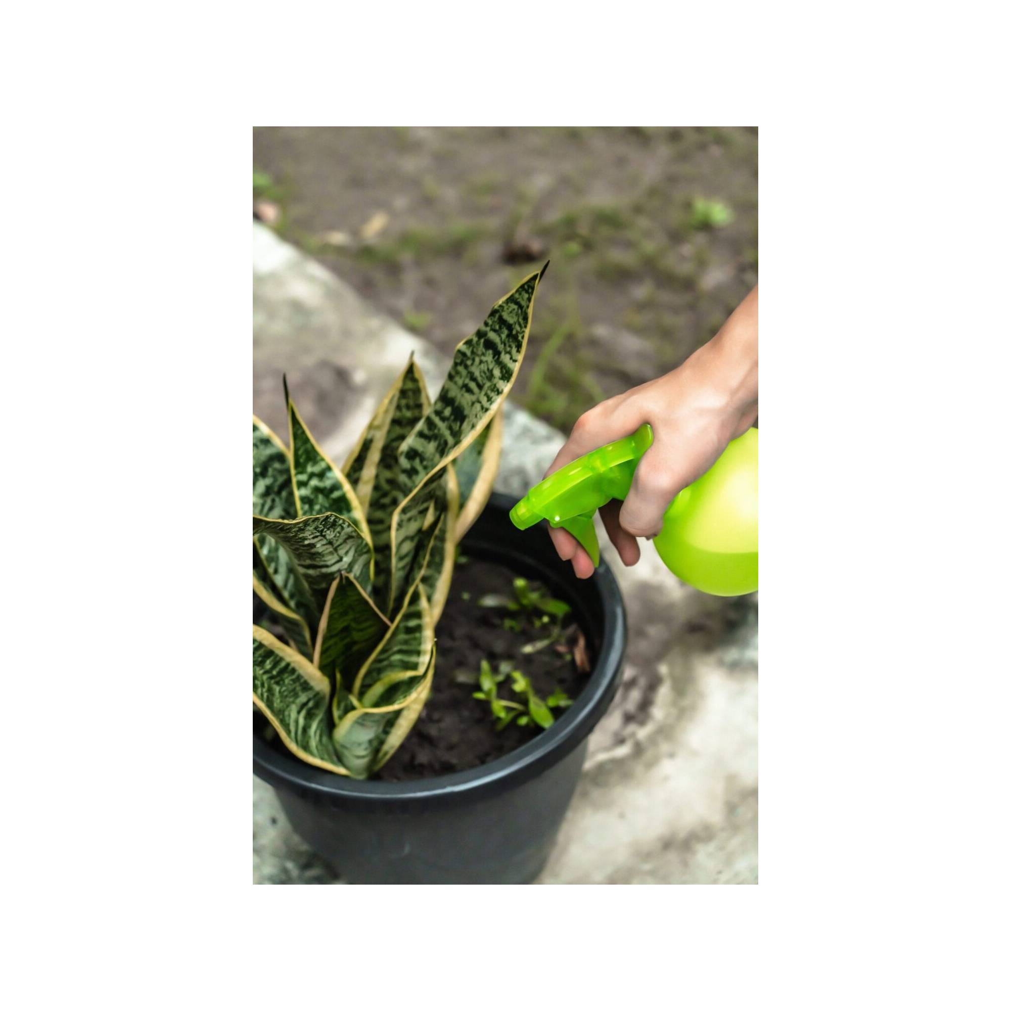 Flacon pulvérisateur - Suan - Multiusages pour le jardin et la maison - Contenance : 450 ml - Image 2