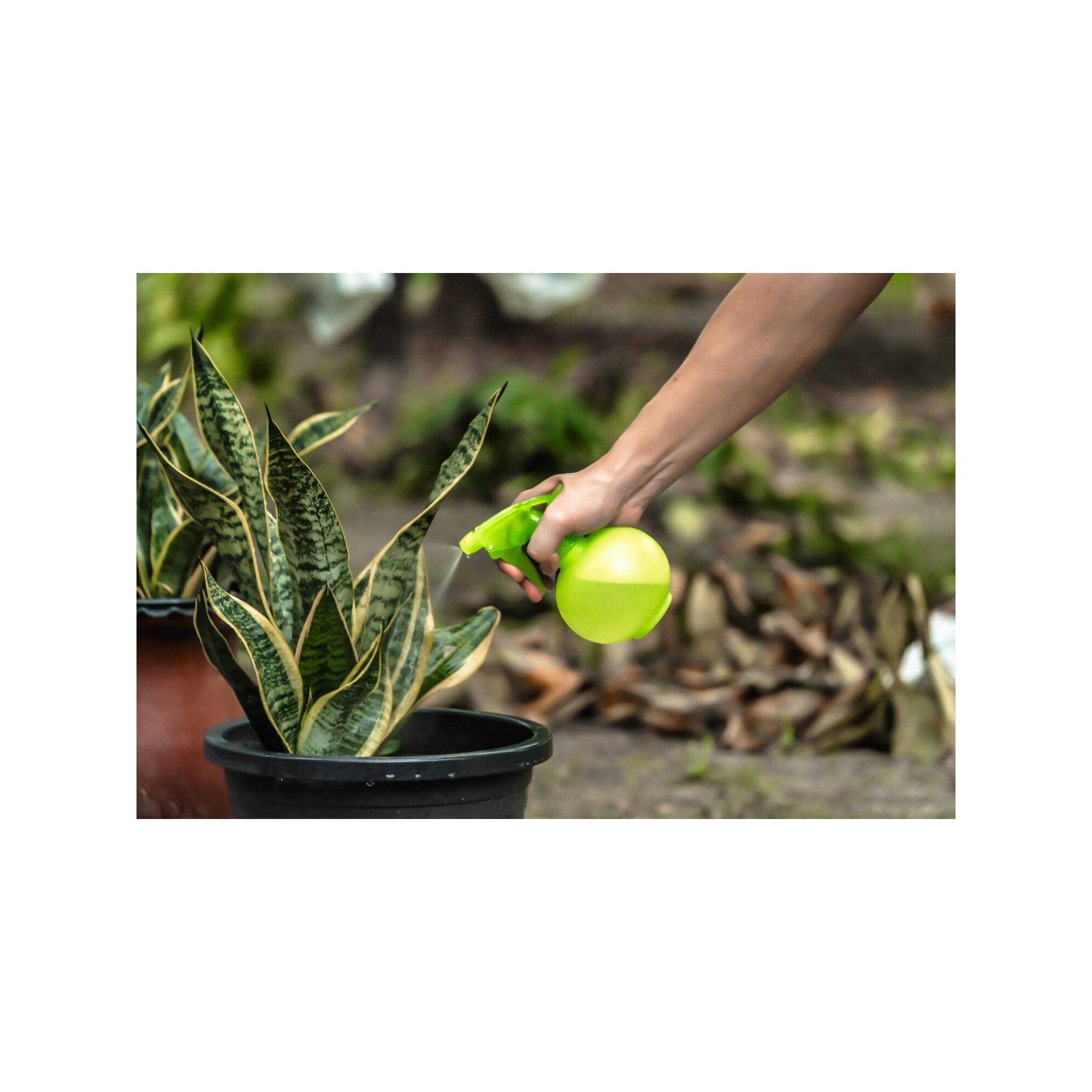 Flacon pulvérisateur - Suan - Multiusages pour le jardin et la maison - Contenance : 450 ml - Image 3