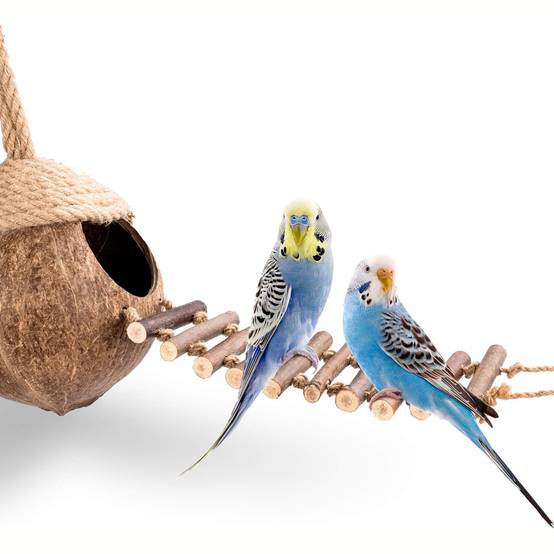 Nid et jouet pour oiseaux et hamsters avec échelle - Image 2