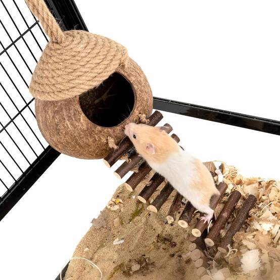 Nid et jouet pour oiseaux et hamsters avec échelle - Image 4