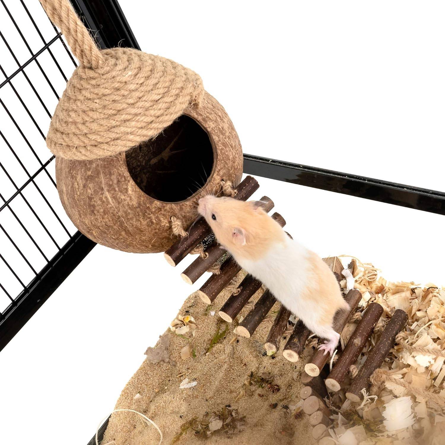 Nid et jouet pour oiseaux et hamsters avec échelle - Image 4