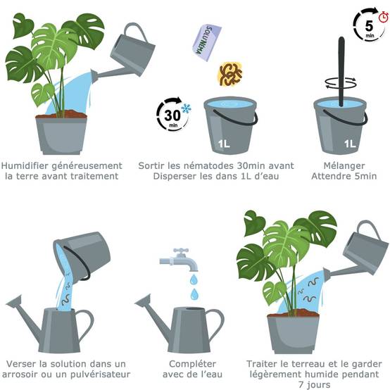 Solunéma - Nématodes SF contre la Mouche du Terreau - 5 millions Steinernema Feltiae - Traitement pour 25 pots soit environ 10m² - Image 3