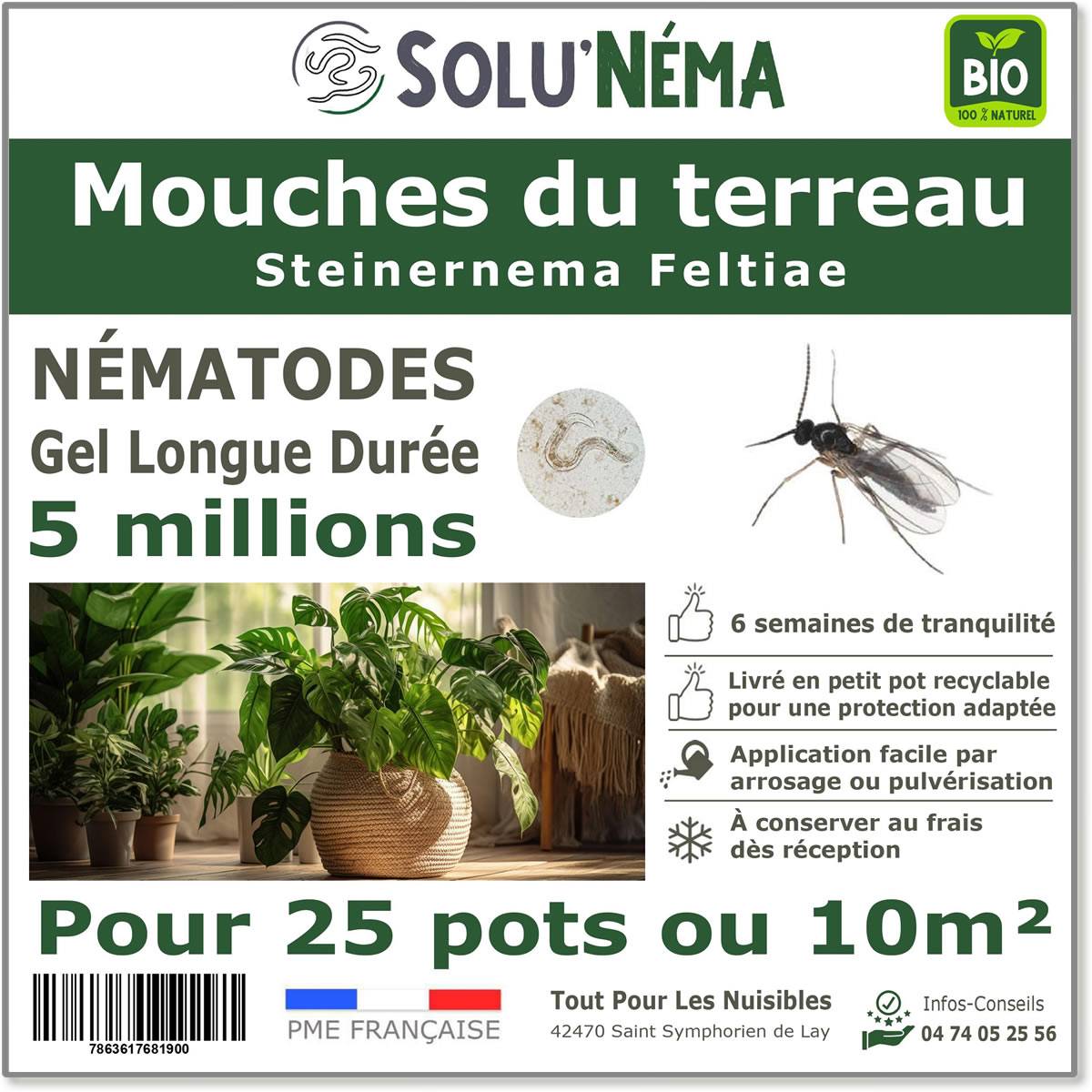 Solunéma - Nématodes SF contre la Mouche du Terreau - 5 millions Steinernema Feltiae - Traitement pour 25 pots soit environ 10m²