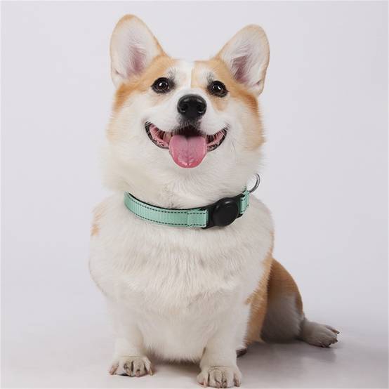 Collier GPS pour chien DtopbuyAge - Image 5