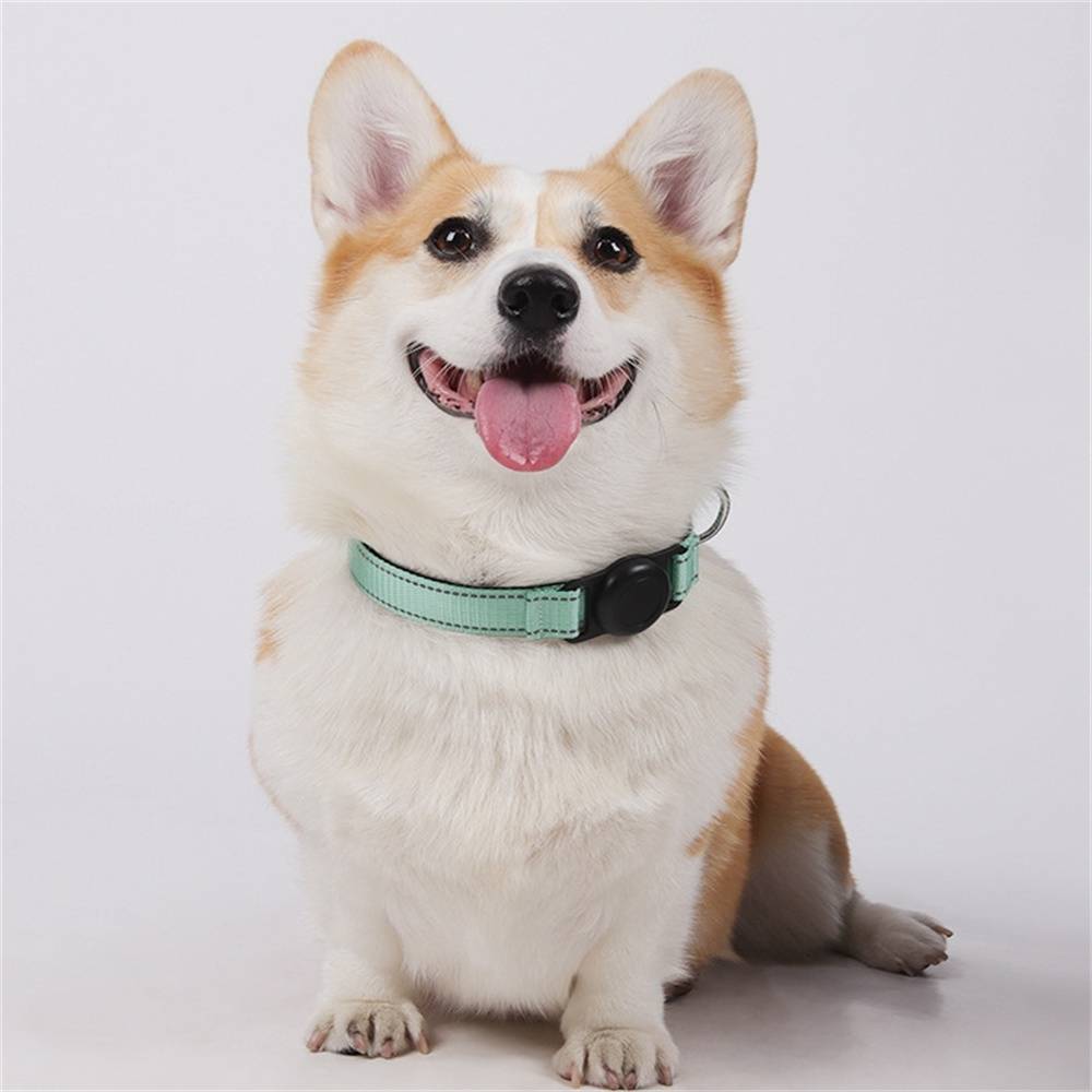 Collier GPS pour chien DtopbuyAge - Image 5