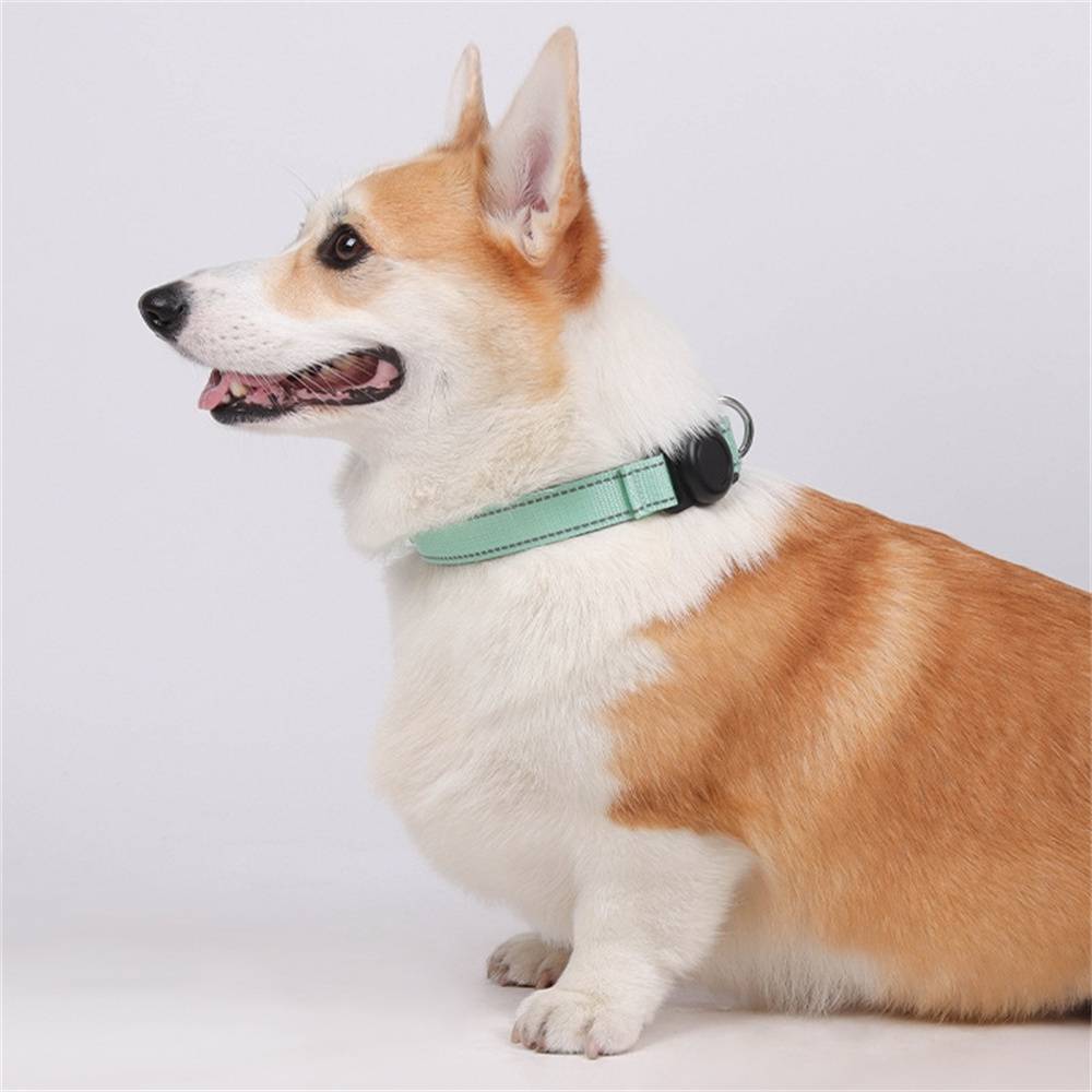 Collier GPS pour chien DtopbuyAge - Image 6