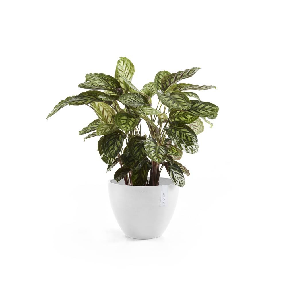 Ecopots - Pot Antwerp 40 Pure White ECOPOTS - Image 2