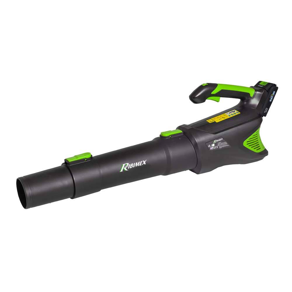 Ribimex - Souffleur de jardin à batterie R-BAT20 20v batterie 2amp et câble de charge USB