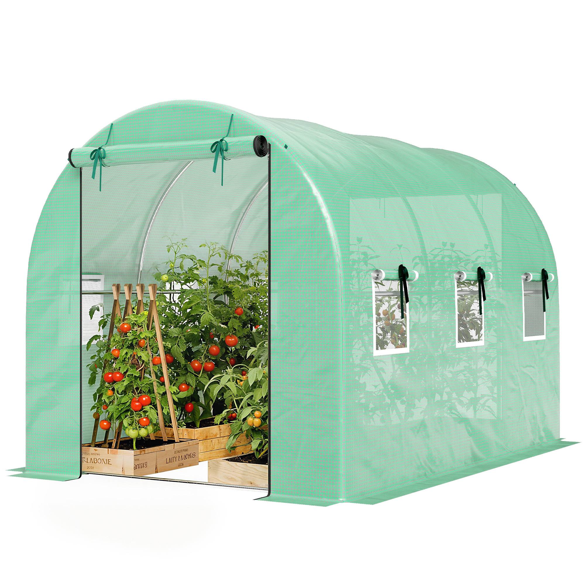 Serre 3 x 2 x 2 m, porte enroulable, 2 portes zip, 6 fenêtres moustiquaire, poteaux, Vert - Image 2