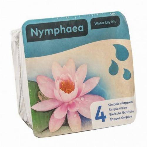Kit Nénuphar - plante aquatique pour bassin - Blanc - Image 1