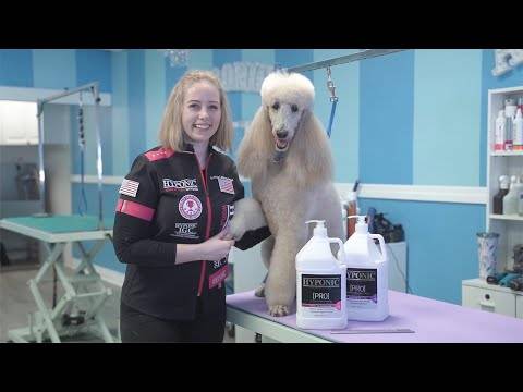 Après-shampoing volumisant Pro 3,8 L HYPONIC - Image 5