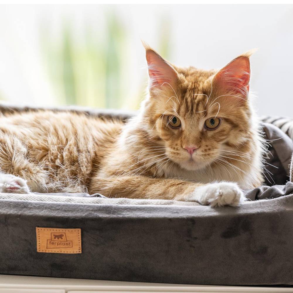 Ferplast - Couchage Rembourré Lit pour Chiens et Chats HARRIS 65 Lavable, avec Coussin, Tweed et Velours, Marron - Image 5