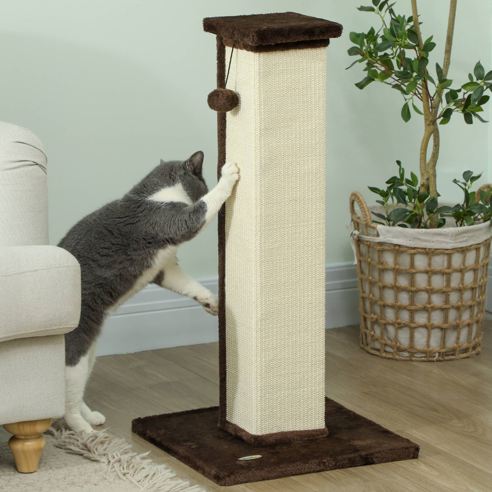 Poteau griffoir chat sisal peluche intérieur jeu aiguiser griffes 81cm marron - ComfortXL Outdoor Living - Image 9