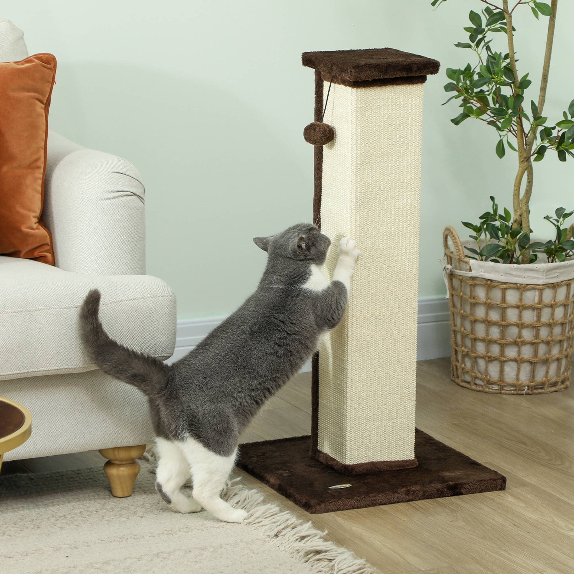 Poteau griffoir chat sisal peluche intérieur jeu aiguiser griffes 81cm marron - ComfortXL Outdoor Living - Image 3